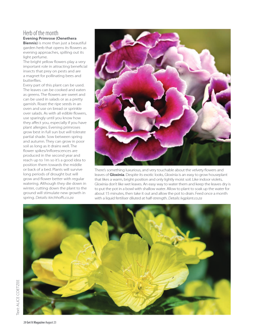 GET IT North August 2023 page 28