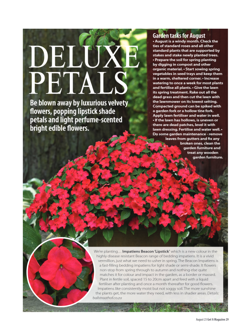 GET IT North August 2023 page 29