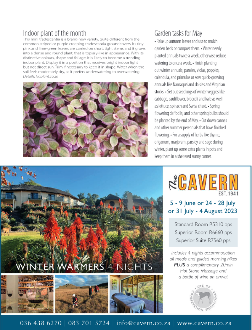 Get It North May 2023 page 31