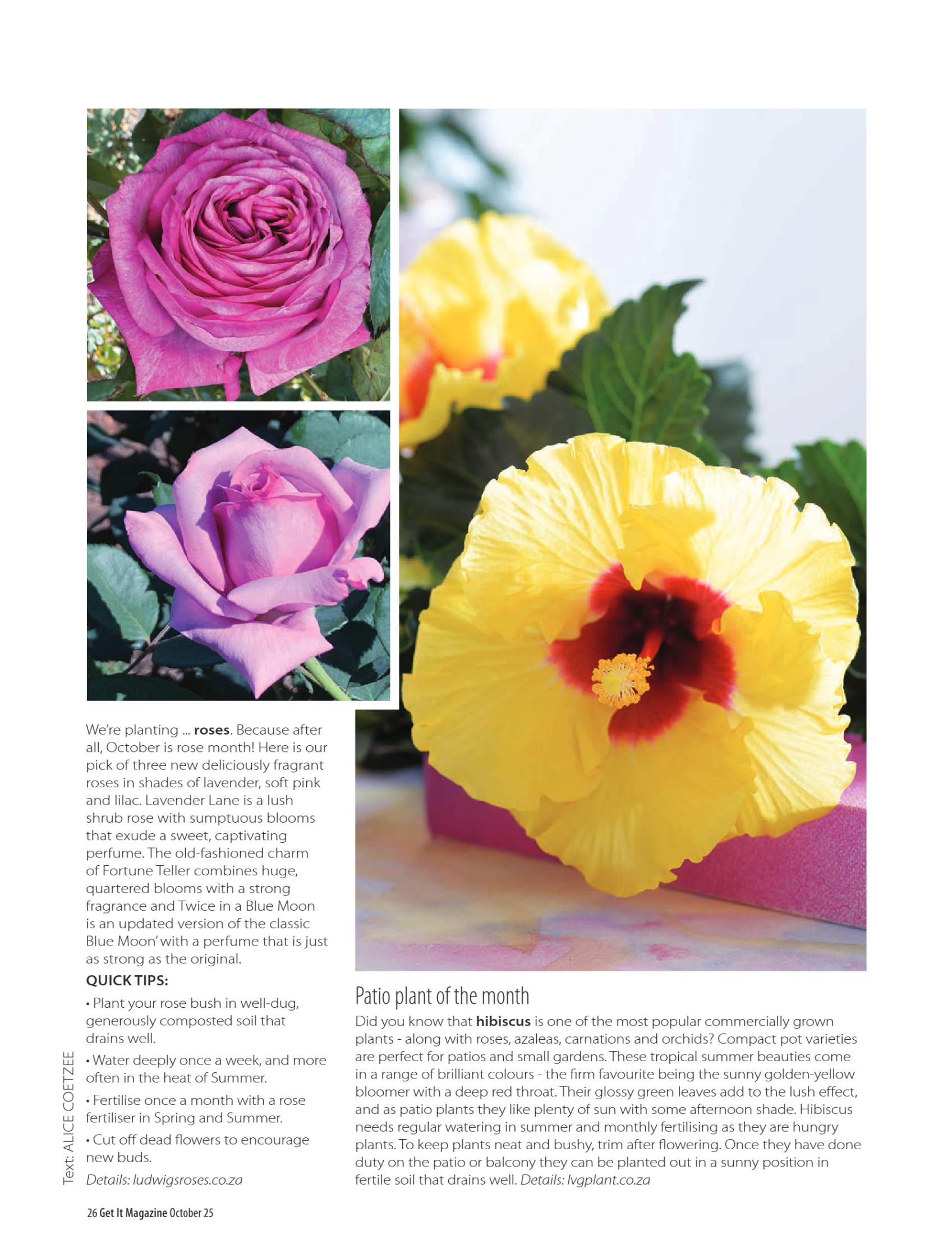 Get It North Oct 2025 page 26