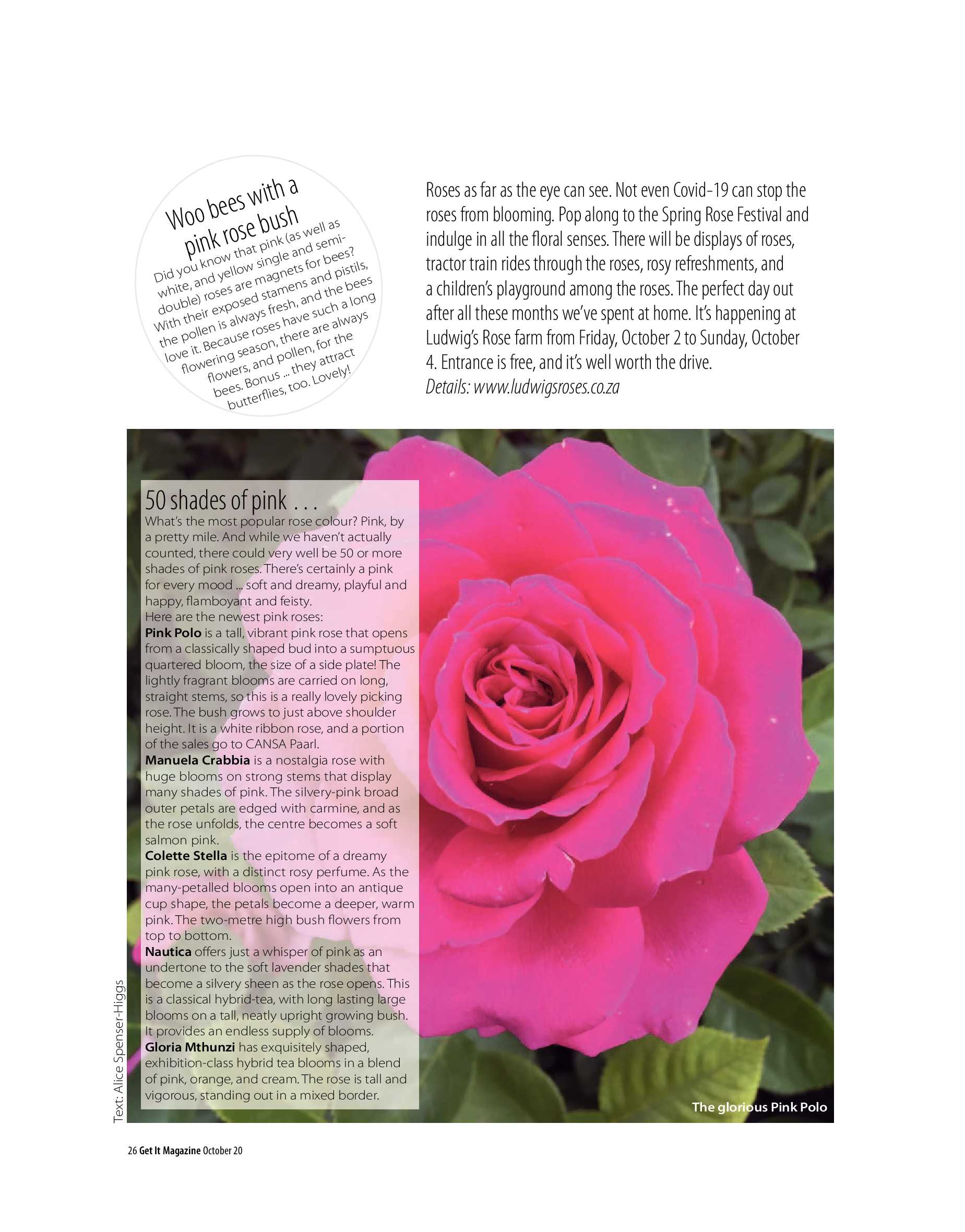 Get  It Joburg North October 2020 page 26