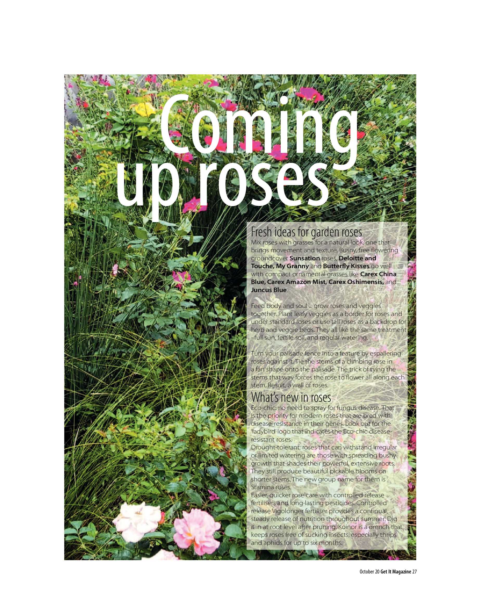 Get  It Joburg North October 2020 page 27