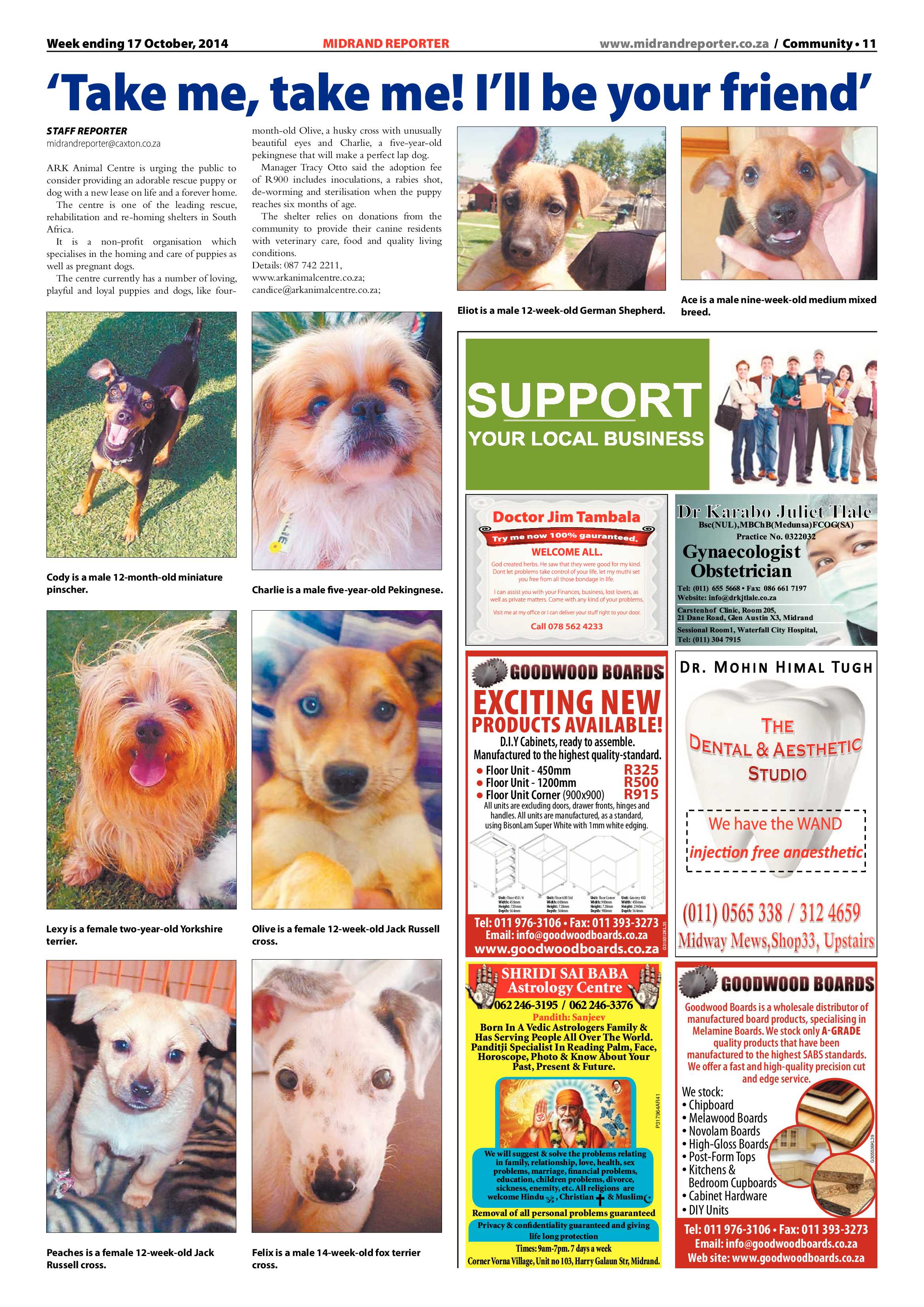 Midrand Reporter 17 October 2014 page 11