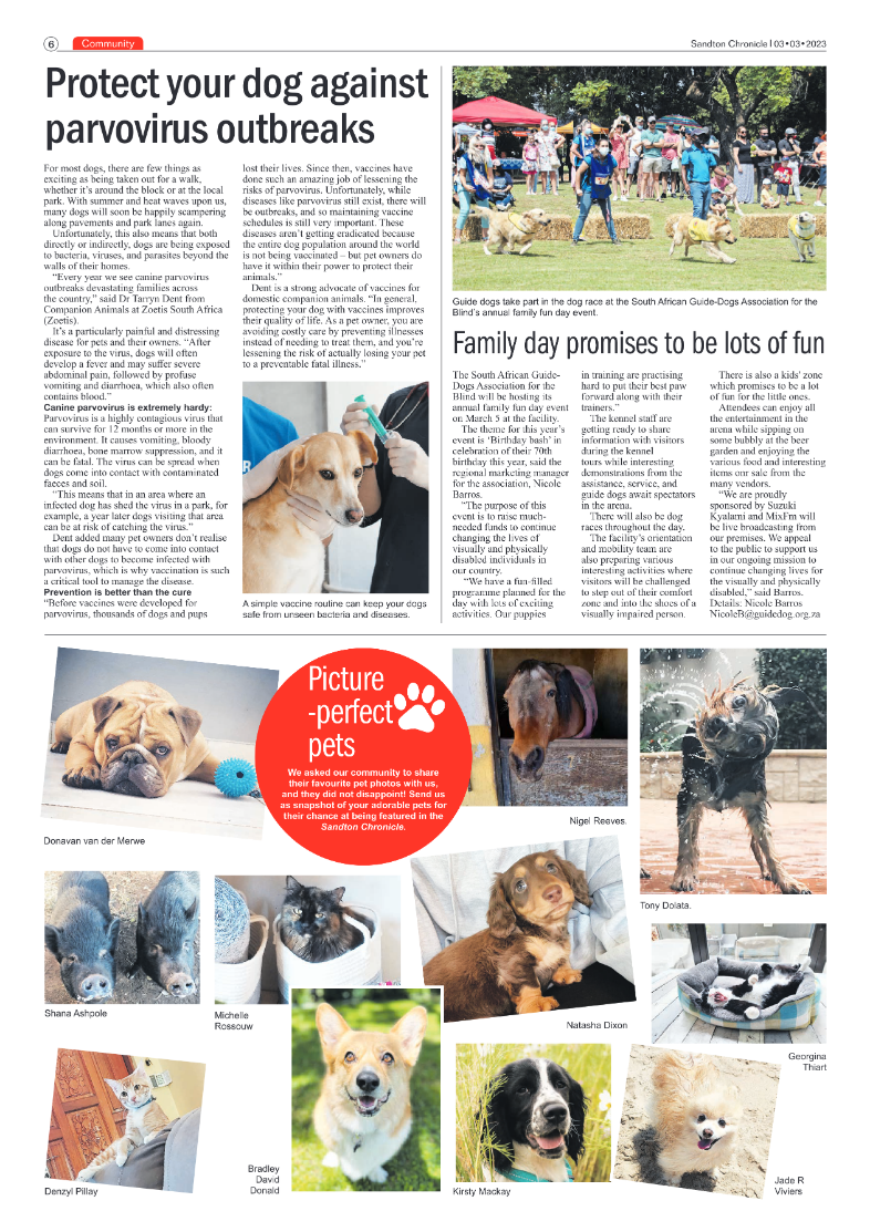 Sandton Chronicle 3 March 2023 page 6