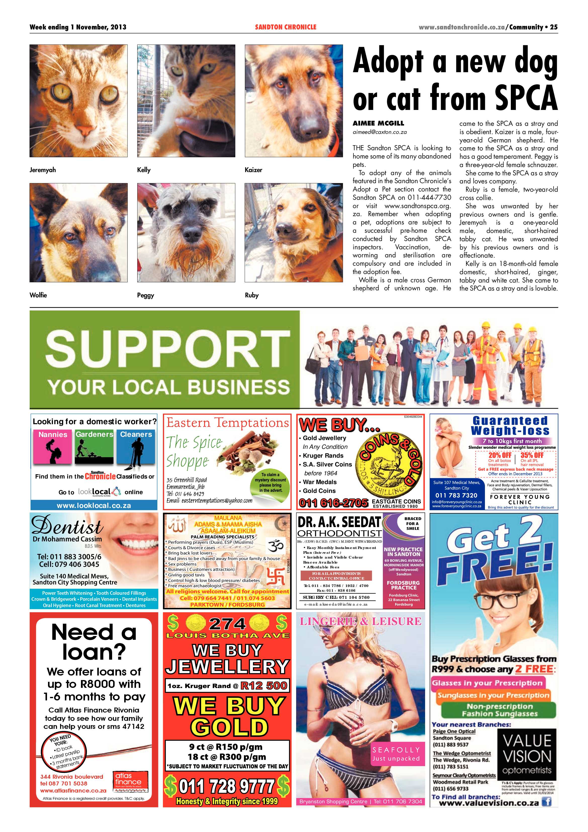 Sandton Chronicle 01 November 2013 page 41