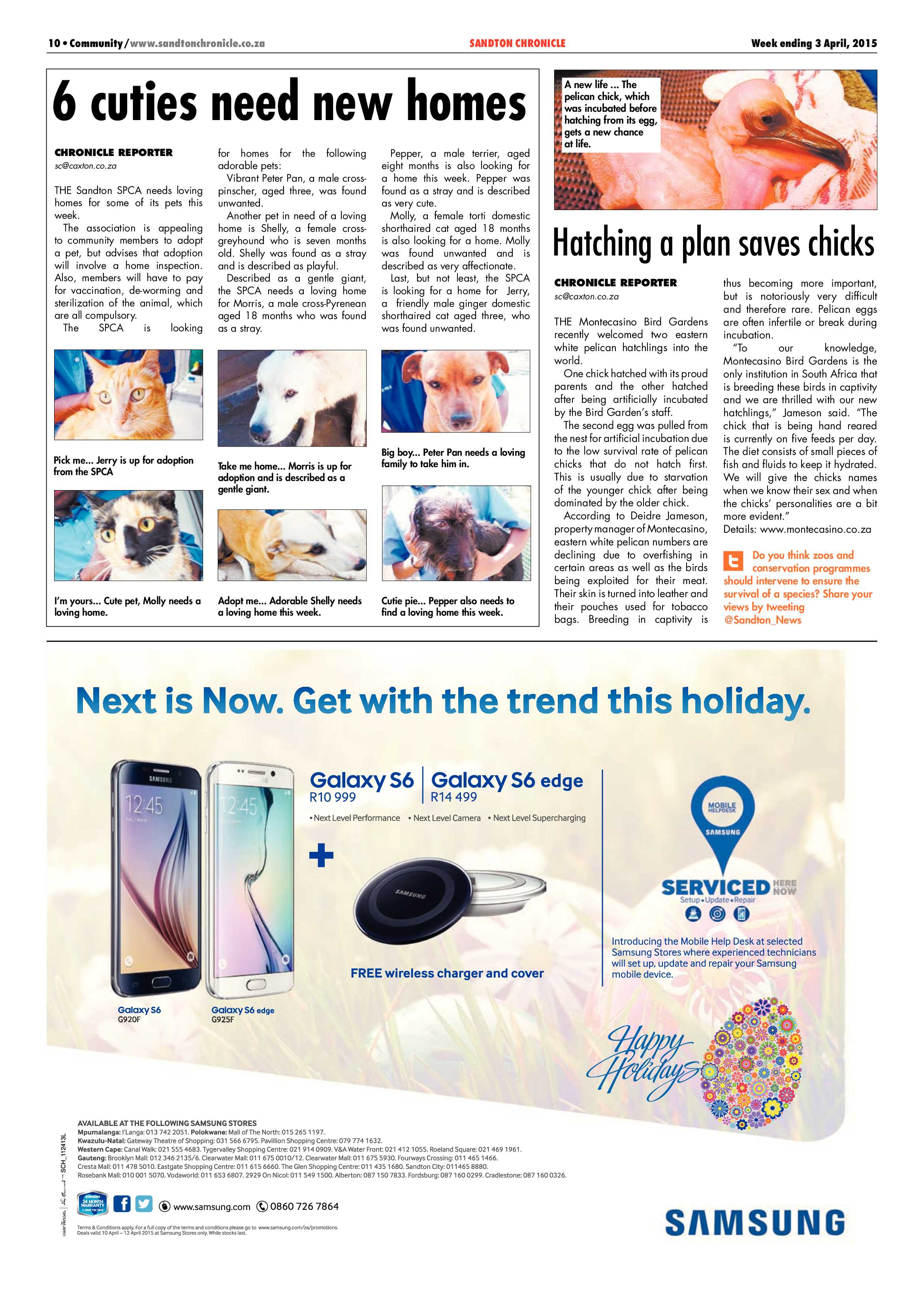 Sandton Chronicle 03 April 2015 page 10