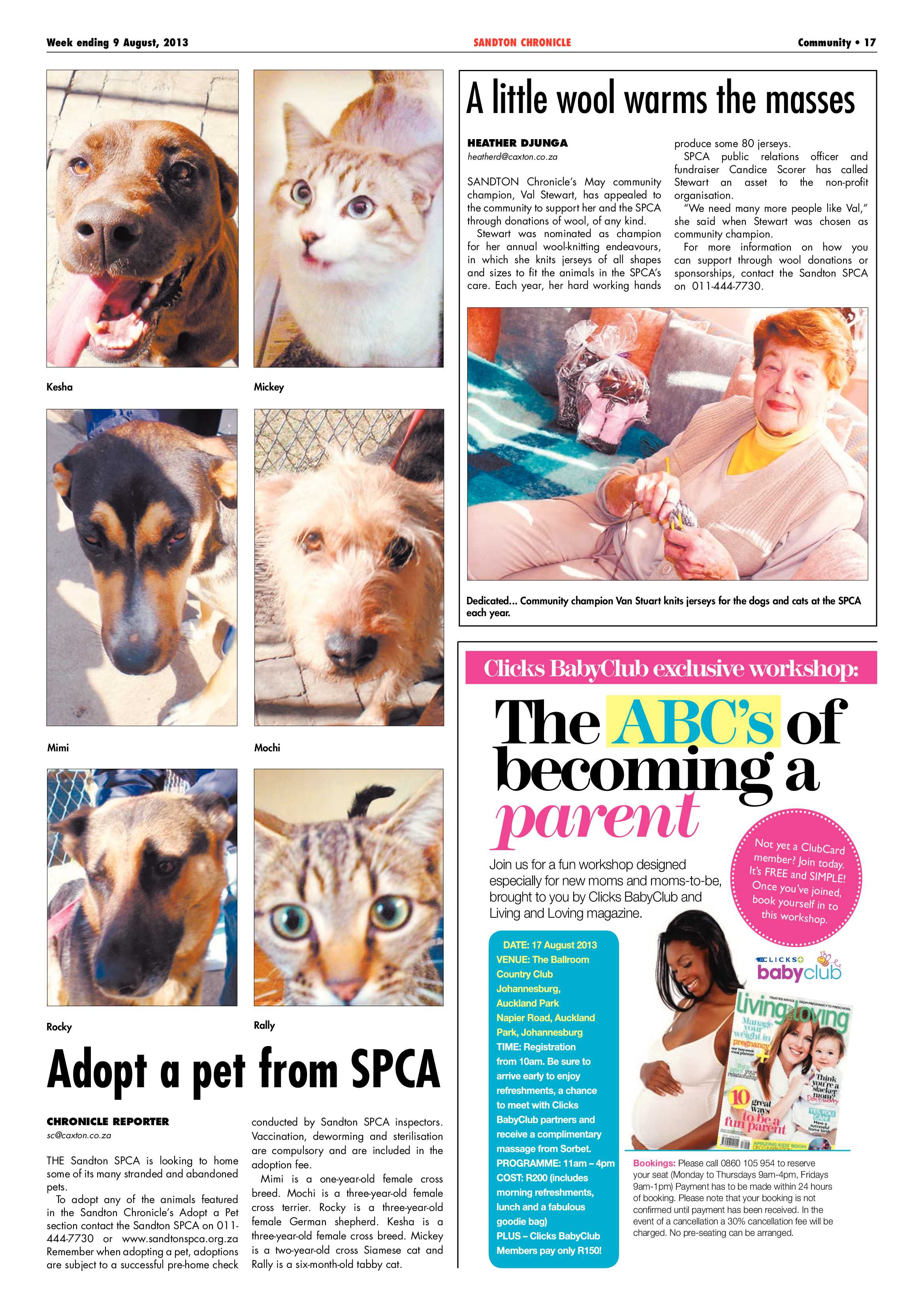 Sandton Chronicle 09 August 2013 page 33