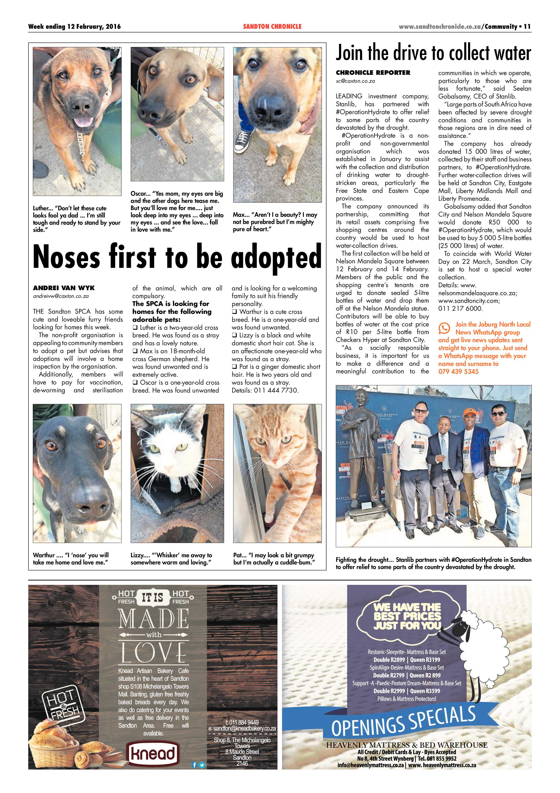 Sandton Chronicle 12 February 2016 page 11