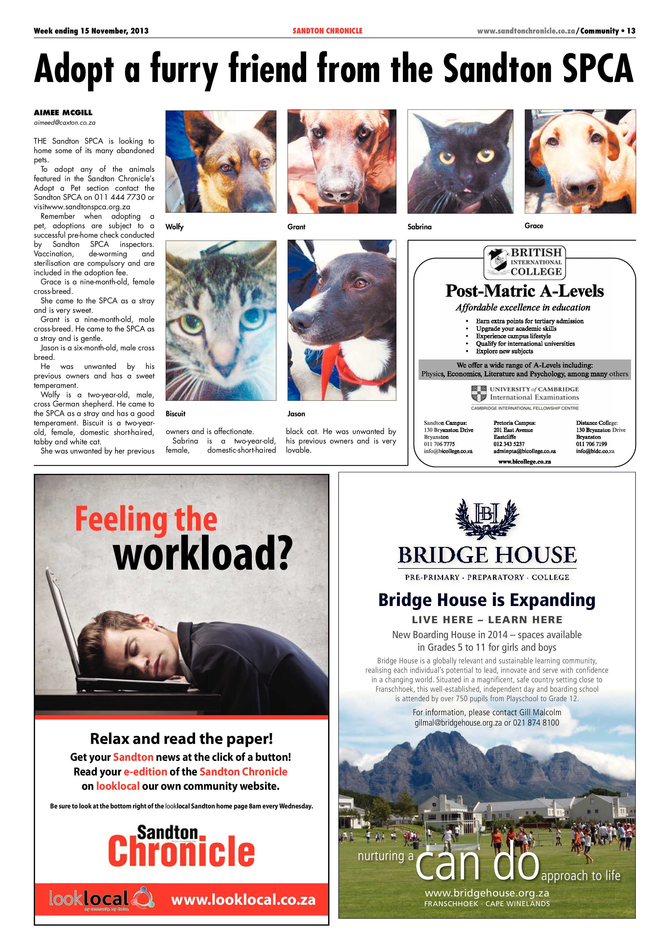 Sandton Chronicle 15 November 2013 page 13