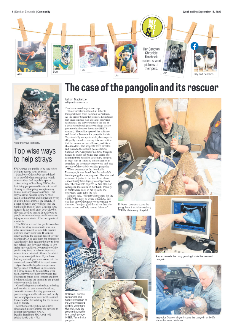 Sandton Chronicle 15 September 2023 page 4