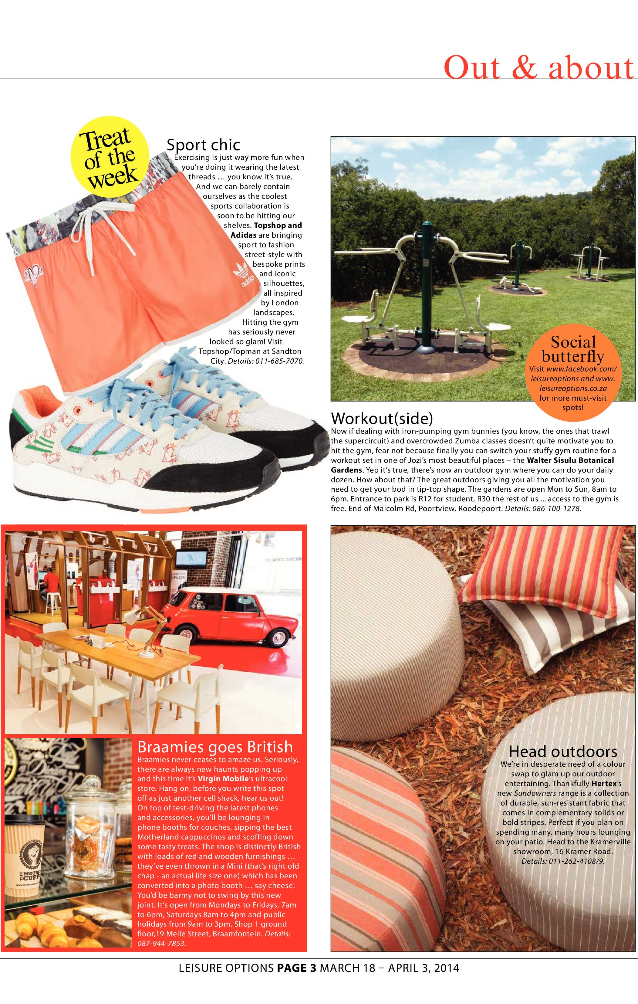 Sandton Chronicle 21 March 2014 page 17