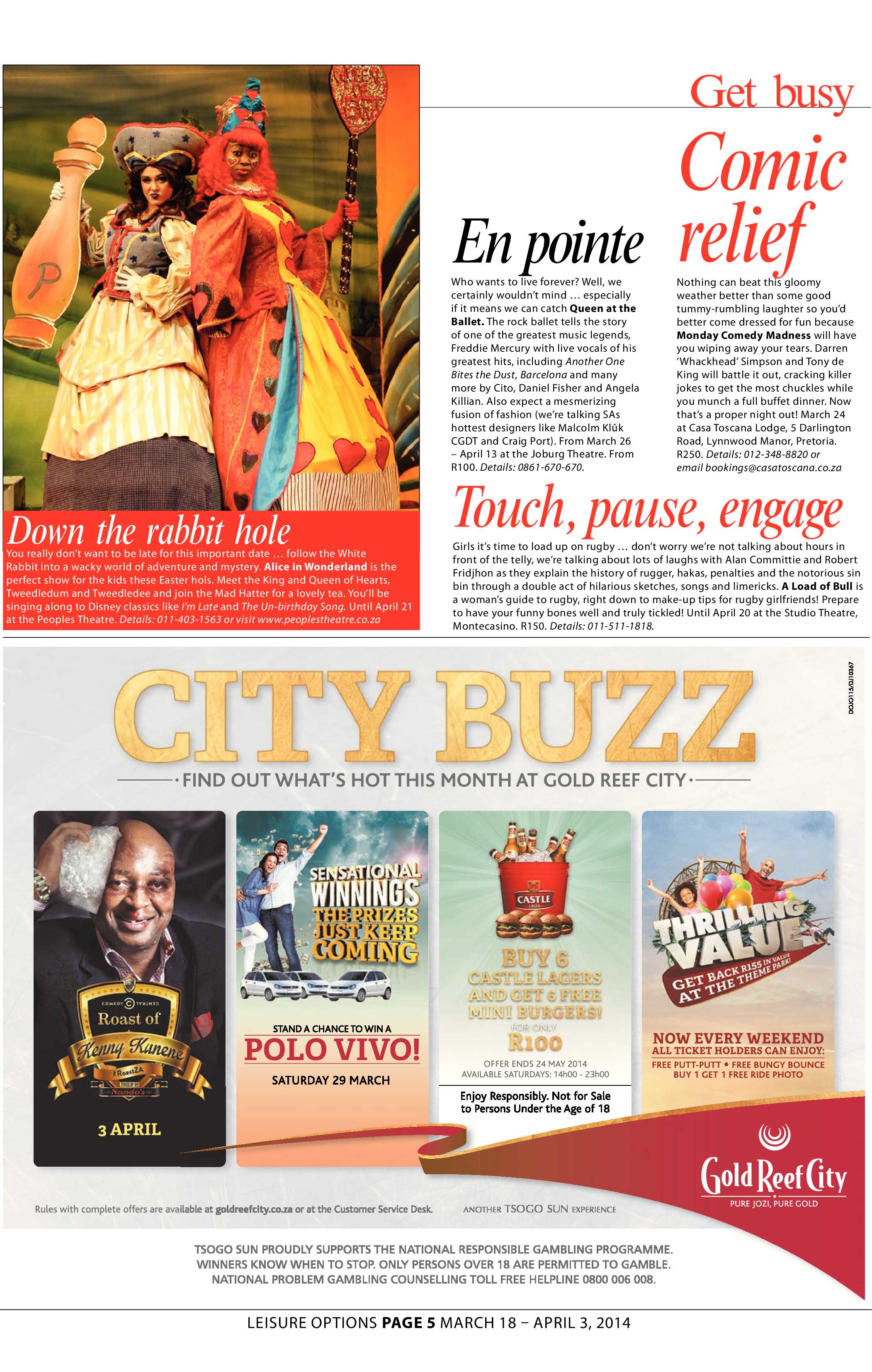 Sandton Chronicle 21 March 2014 page 19