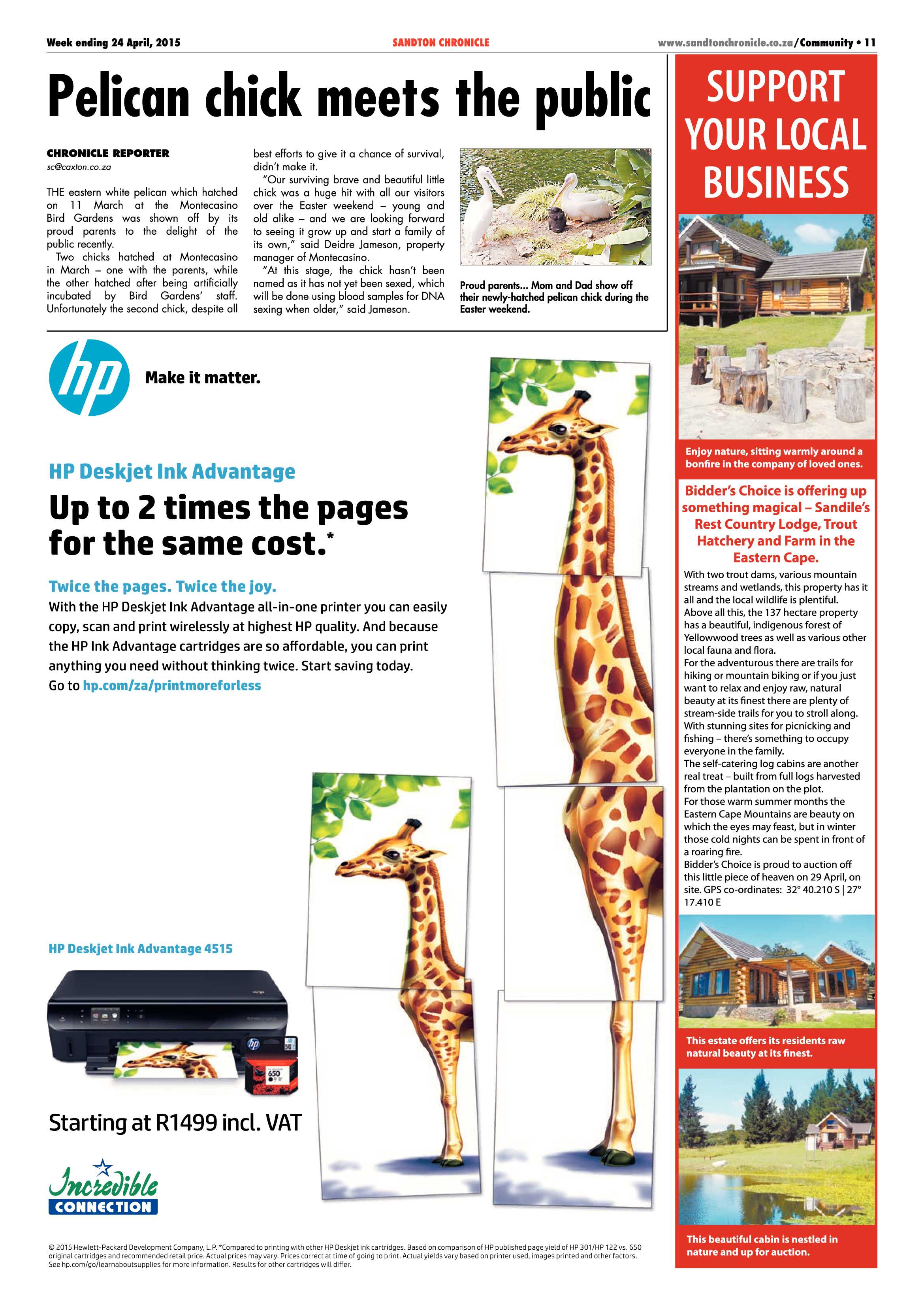 Sandton Chronicle 24 April 2015 page 11