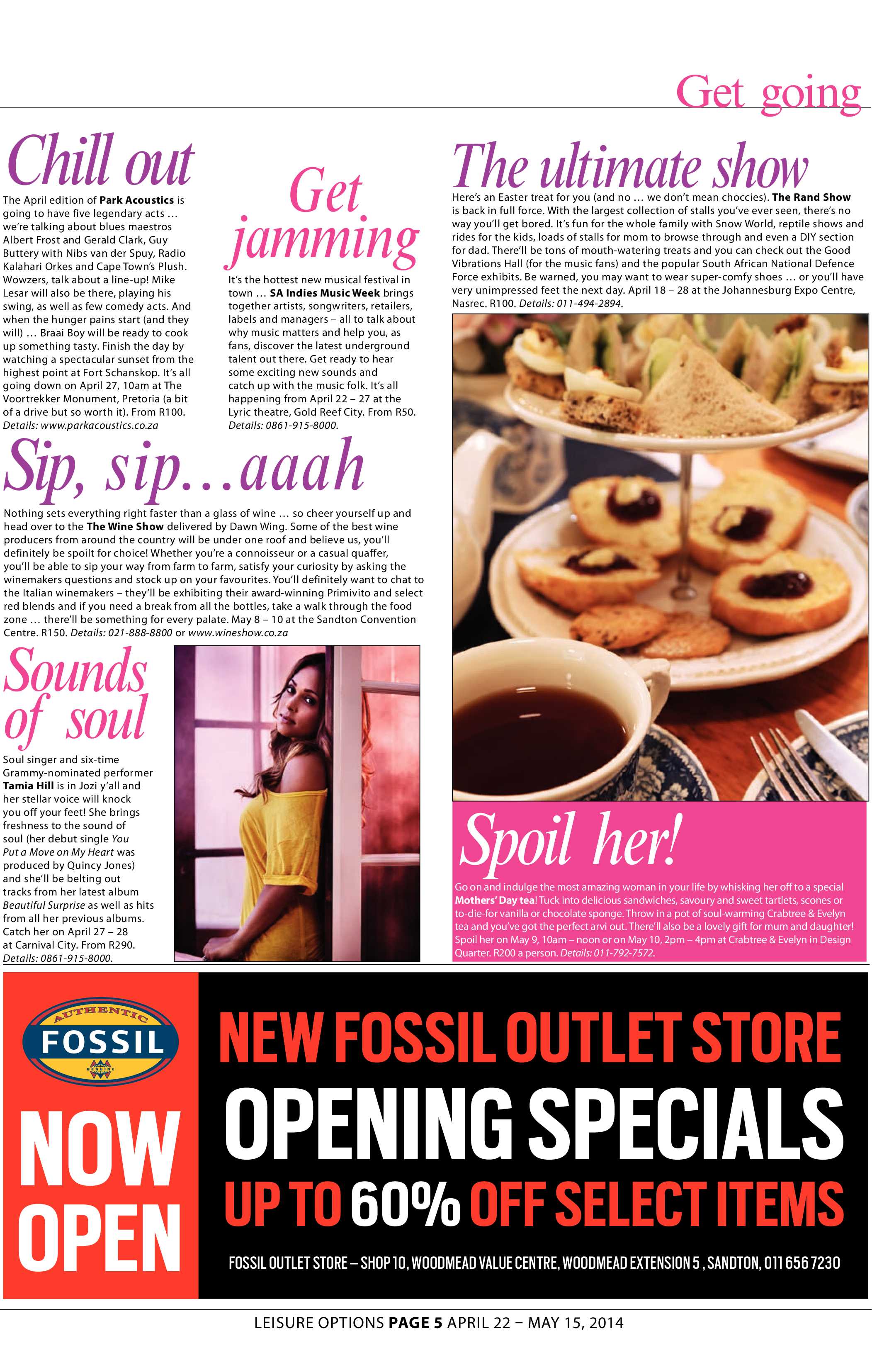 Sandton Chronicle 25 April 2014 page 17
