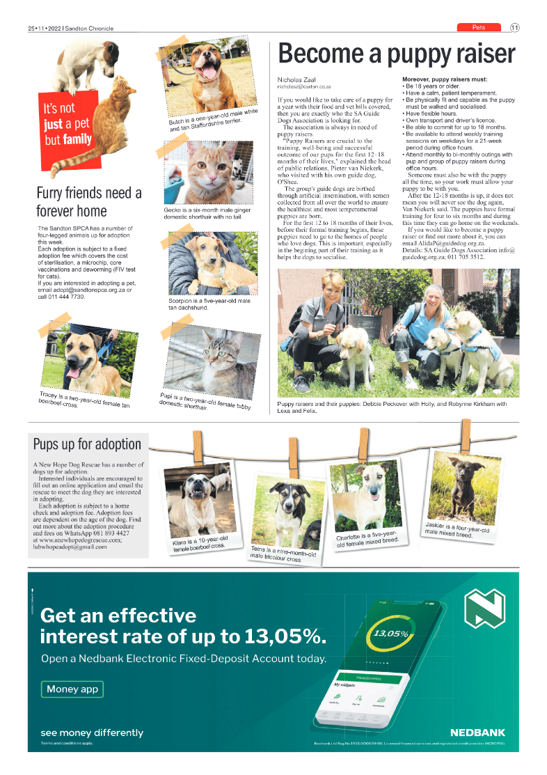 Sandton Chronicle 25 Nov 2022 page 11