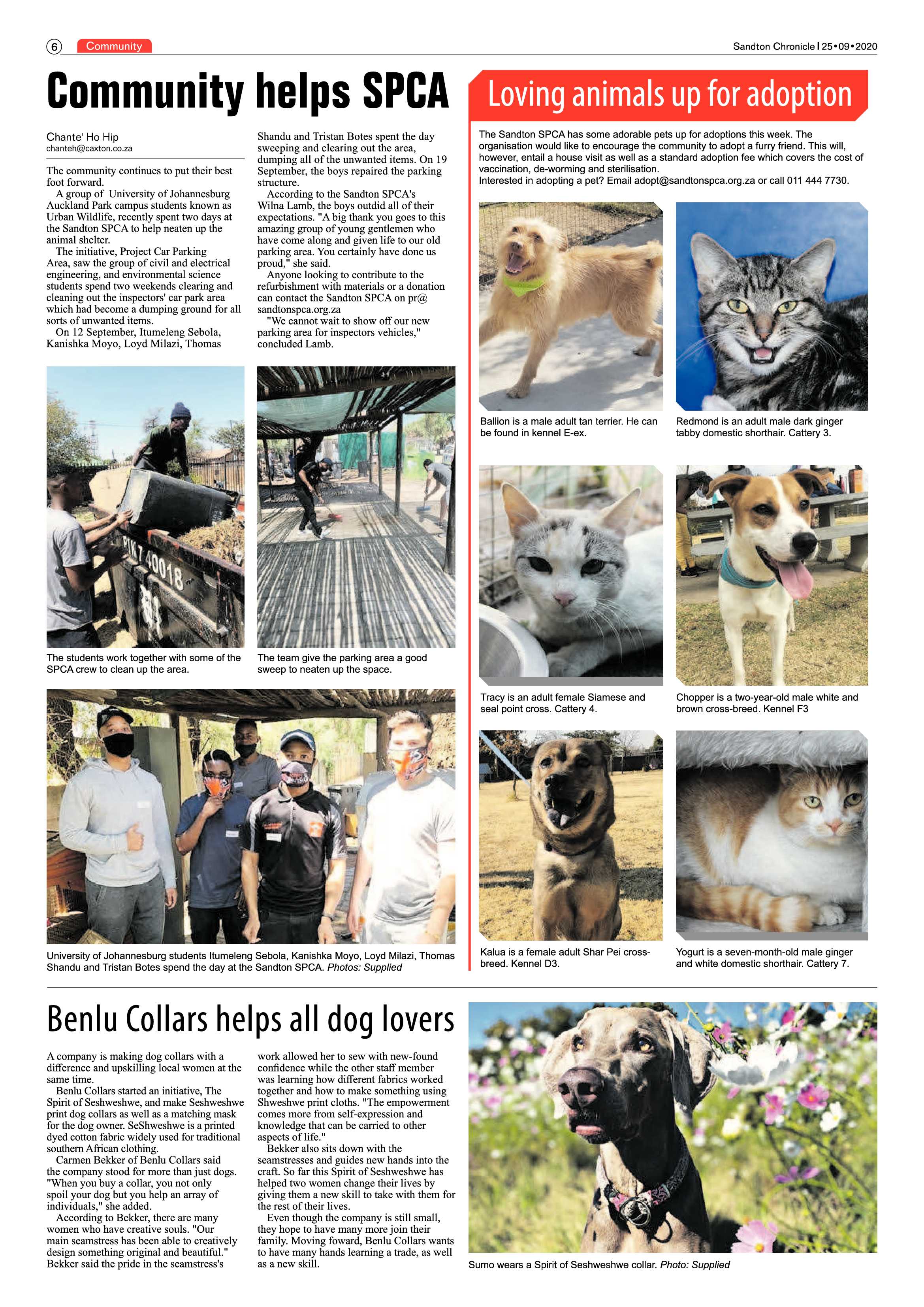 Sandton Chronicle 25 September 2020 page 6