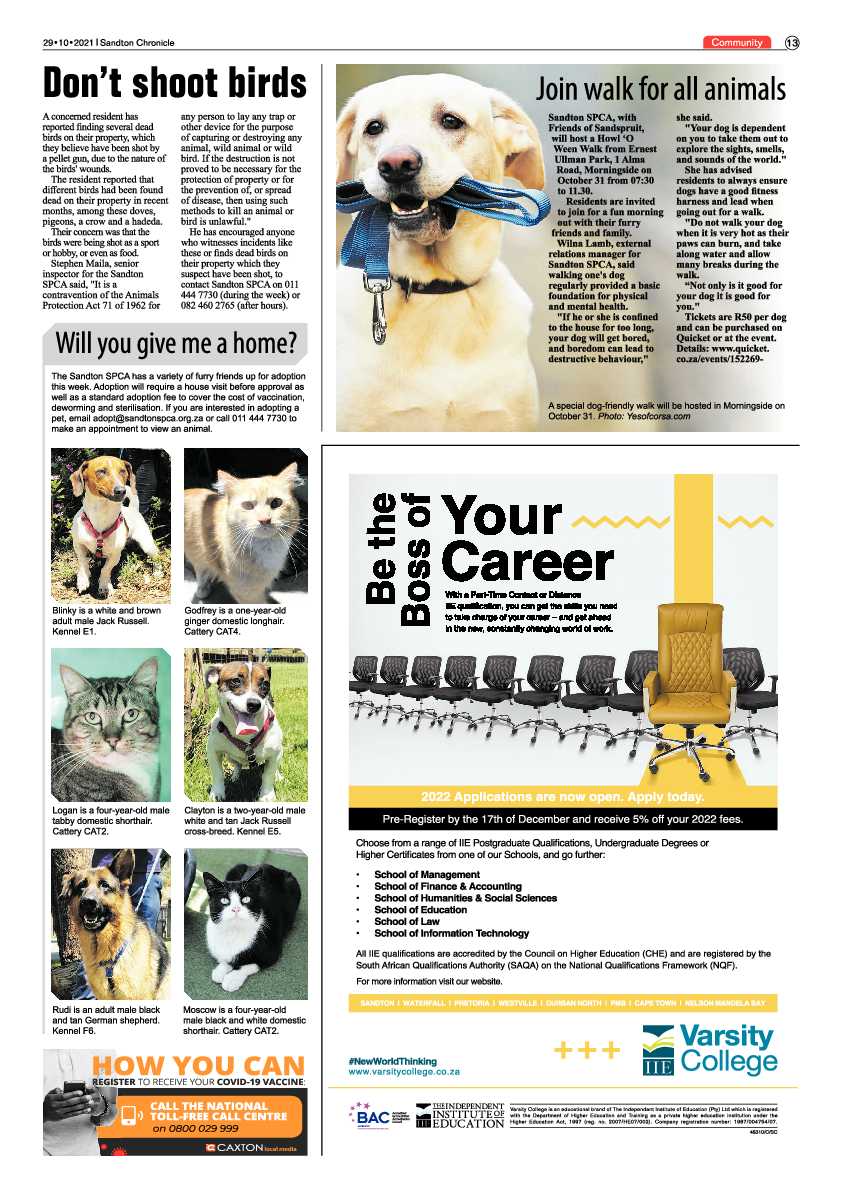 Sandton Chronicle 29 October 2021 page 13