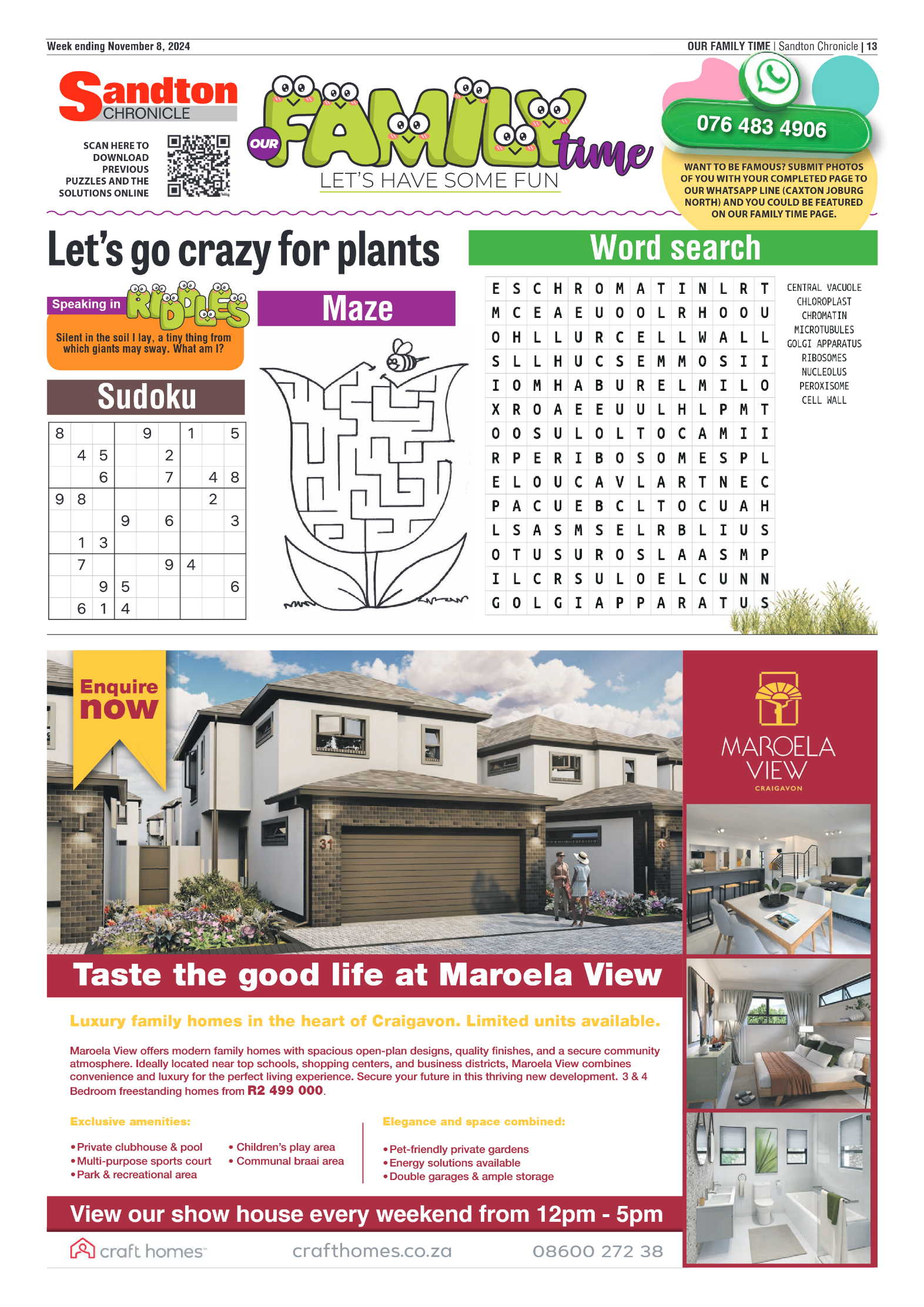 Sandton Chronicle 8 November 2024 page 13